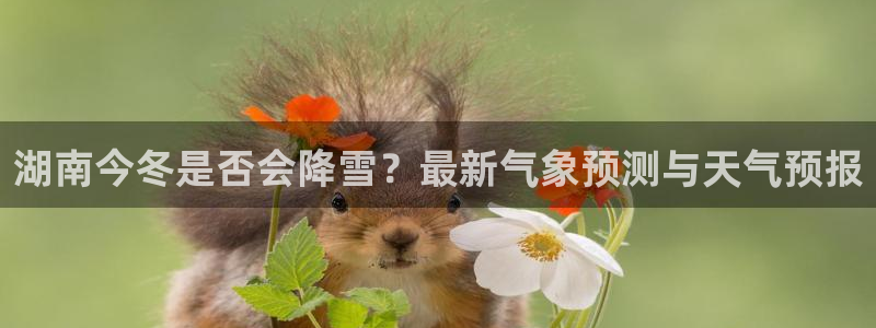 南宫NGkgame：湖南今冬是否会降雪？最新气象预测与天气预报