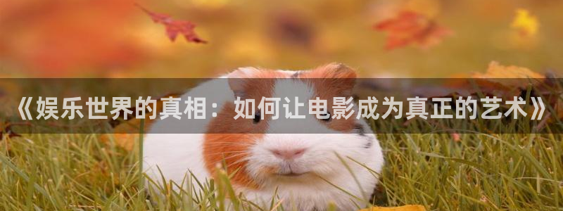 南宫NG体育平台登录入口：《娱乐世界的真相：如何让电影成为真正的艺术》
