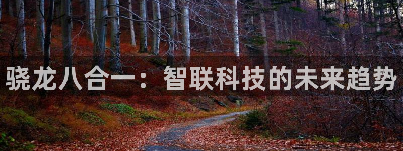 南宫NG游戏试玩：骁龙八合一：智联科技的未来趋势