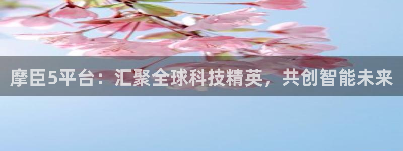南宫NGccmpc麻将胡了：摩臣5平台：汇聚全球科技精英，共创智能未来