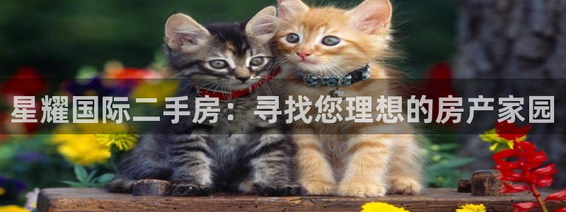 南宫NGquan28.cc：星耀国际二手房：寻找您理想的房产家园