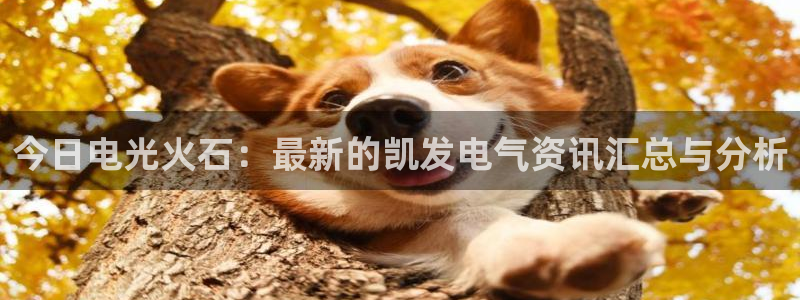 南宫NG4平台：今日电光火石：最新的凯发电气资讯汇总与分析