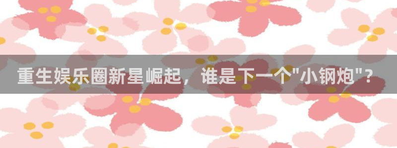 南宫NG网页版：重生娱乐圈新星崛起，谁是下一个\