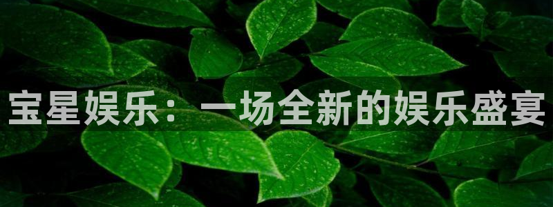 南宫NG下载官网入口在哪：宝星娱乐：一场全新的娱乐盛宴
