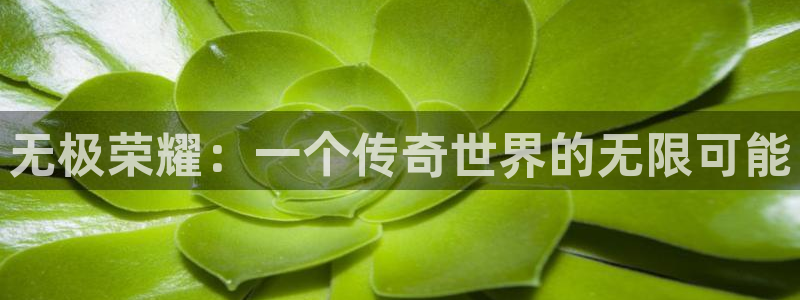 南宫NG4开户：无极荣耀：一个传奇世界的无限可能