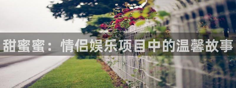 南宫NGk：甜蜜蜜：情侣娱乐项目中的温馨故事