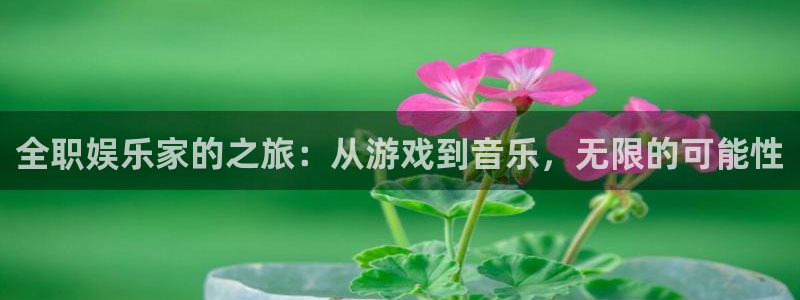 南宫NG4平台注册：全职娱乐家的之旅：从游戏到音乐，无限的可能性