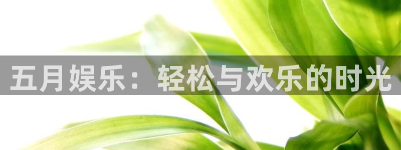 南宫NG：五月娱乐：轻松与欢乐的时光