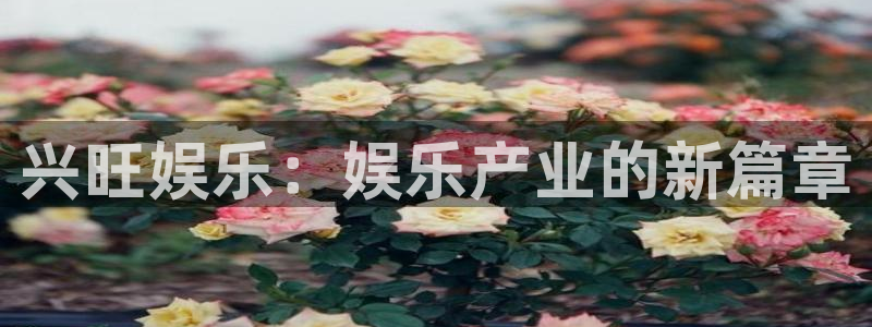 南宫NG是大平台吗：兴旺娱乐：娱乐产业的新篇章