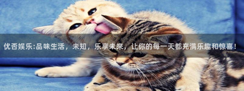 南宫NG.com：优否娱乐:品味生活，未知，乐享未来，让你的每一天都充满乐趣和惊喜！
