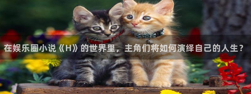 南宫NG体育官网注册：在娱乐圈小说《H》的世界里，主角们将如何演绎自己的人生？