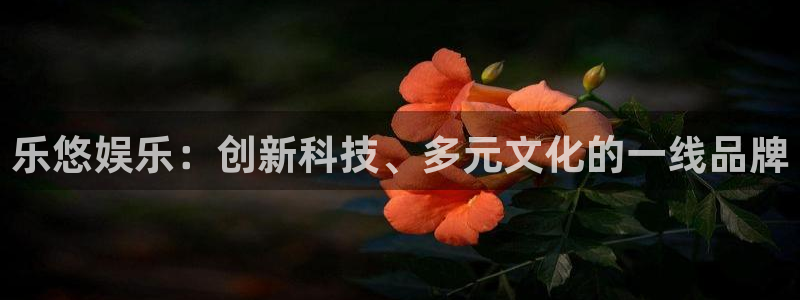 南宫NG平台注册账号：乐悠娱乐：创新科技、多元文化的一线品牌