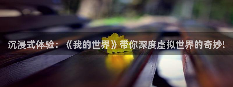 南宫NG体育官网入口登录：沉浸式体验：《我的世界》带你深度虚拟世界的奇妙!