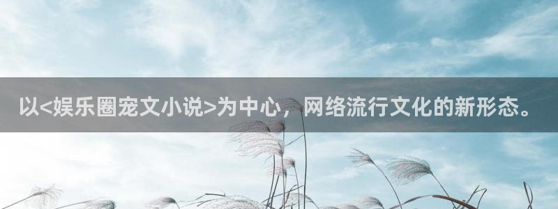 南宫NG2体育：以<娱乐圈宠文小说>为中心，网络流行文化的新形态。