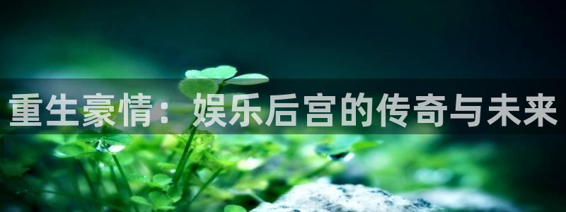 南宫NG电子游戏网页版