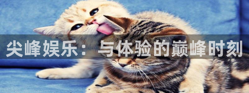 南宫NGkgame：尖峰娱乐：与体验的巅峰时刻