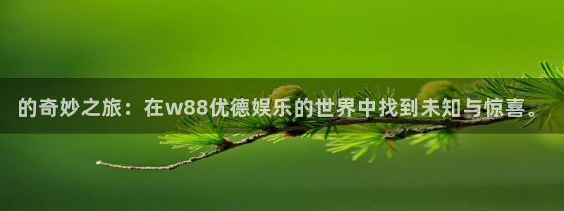 南宫NGapp最新版：的奇妙之旅：在w88优德娱乐的世界中找到未知与惊喜。