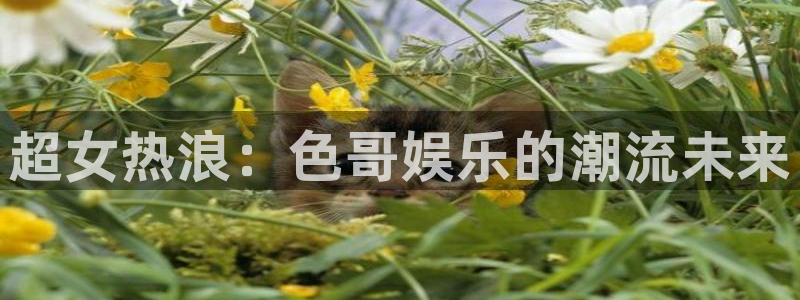 南宫NG平台：超女热浪：色哥娱乐的潮流未来