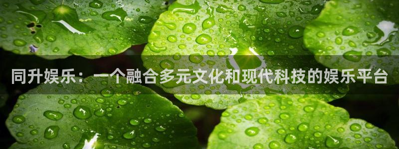 南宫NG2代理注册：同升娱乐：一个融合多元文化和现代科技的娱乐平台