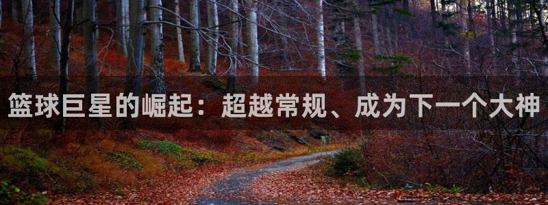 南宫NG手机客户端下载安装：篮球巨星的崛起：超越常规、成为下一个大神
