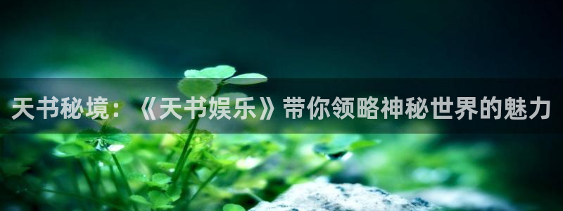 南宫NG是真的吗