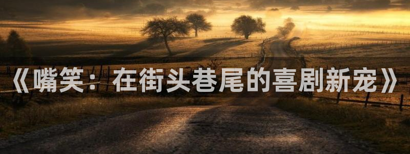 南宫NG网站平台：《嘴笑：在街头巷尾的喜剧新宠》