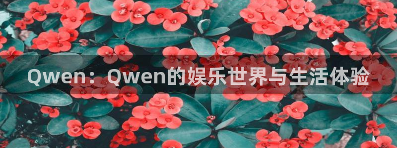南宫NG主管：Qwen：Qwen的娱乐世界与生活体验