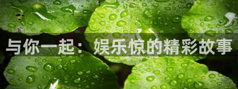 南宫NG体育老板是谁
