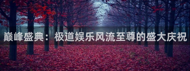 南宫NG零能源集团：巅峰盛典：极道娱乐风流至尊的盛大庆祝