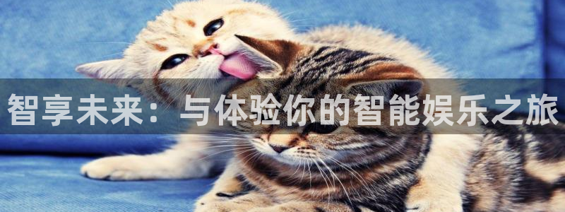 南宫NG是大平台吗：智享未来：与体验你的智能娱乐之旅