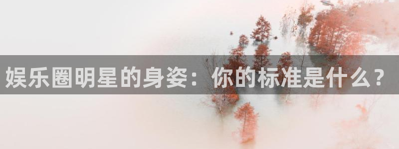南宫NGapp 是什么：娱乐圈明星的身姿：你的标准是什么？