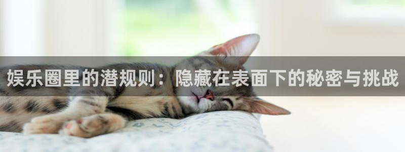 下载南宫NG：娱乐圈里的潜规则：隐藏在表面下的秘密与挑战