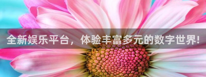 南宫NG注册官网入口：全新娱乐平台，体验丰富多元的数字世界!