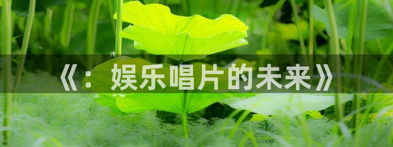 南宫NG放水时间：《：娱乐唱片的未来》