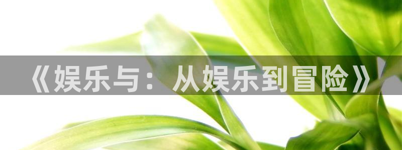 南宫NG体育老板是谁：《娱乐与：从娱乐到冒险》