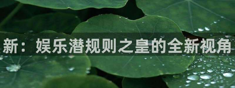 南宫NG4官网：新：娱乐潜规则之皇的全新视角
